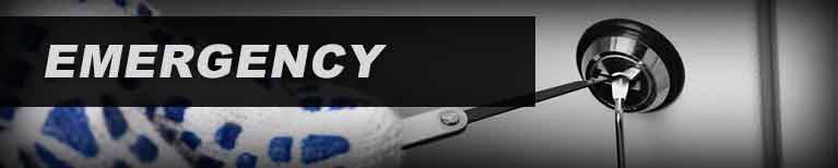 Peach Orchard Locksmith